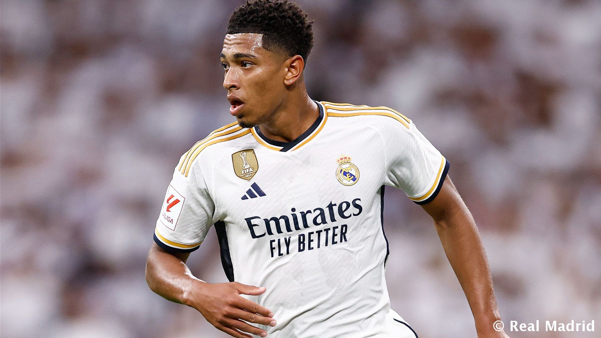 背打迫使协 背打迫使协